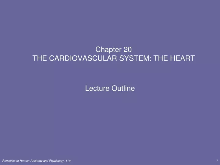 chapter 20 the cardiovascular system the heart