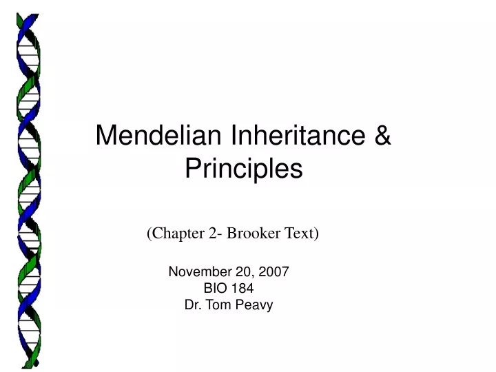 mendelian inheritance principles