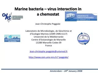 Marine bacteria – virus interaction in a  chemostat