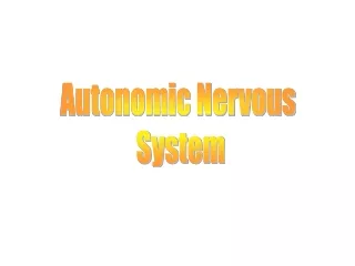 Autonomic Nervous  System