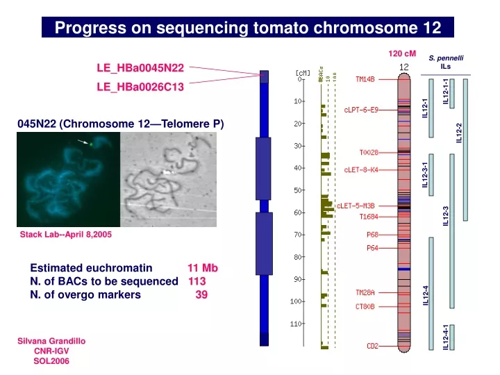 progress on sequencing tomato chromosome 12