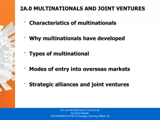 2A.0 MULTINATIONALS AND JOINT VENTURES