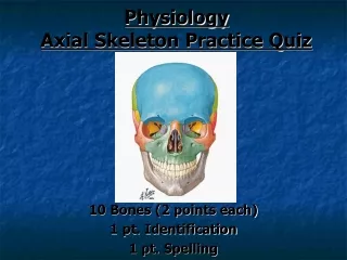 Physiology Axial Skeleton Practice Quiz