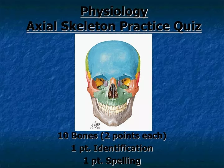 physiology axial skeleton practice quiz