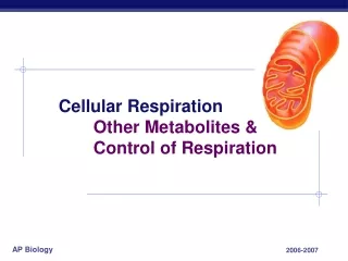 Cellular Respiration 	Other Metabolites &amp;  	Control of Respiration