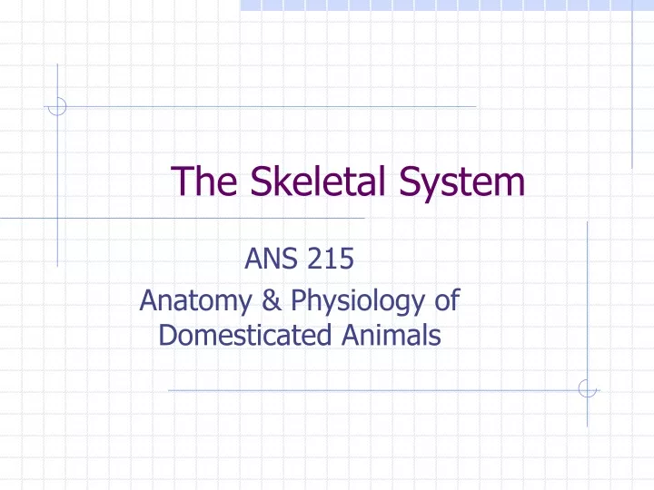 the skeletal system