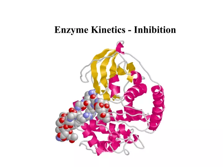 enzyme kinetics inhibition