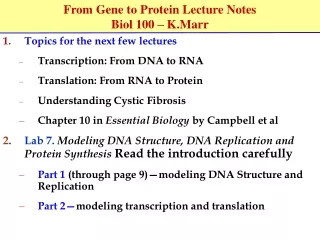 From Gene to Protein Lecture Notes Biol 100 – K.Marr