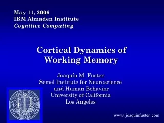 Cortical Dynamics of Working Memory