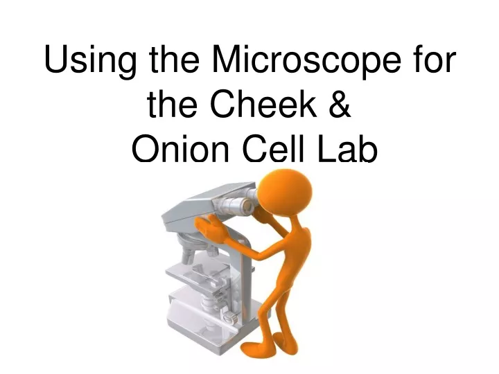 using the microscope for the cheek onion cell lab