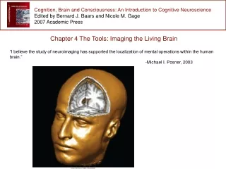 Cognition, Brain and Consciousness: An Introduction to Cognitive Neuroscience