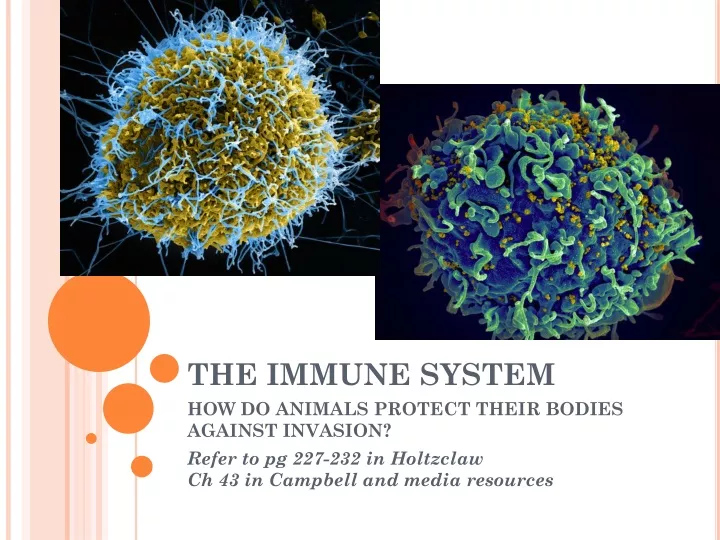 the immune system