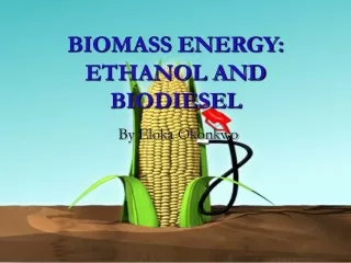 BIOMASS ENERGY: ETHANOL AND BIODIESEL
