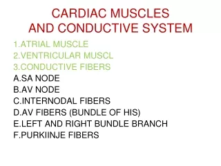 CARDIAC MUSCLES AND CONDUCTIVE SYSTEM