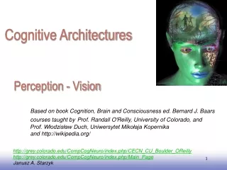 Perception  - Vision