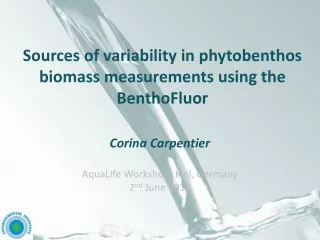 Sources of variability in phytobenthos biomass measurements  using the BenthoFluor
