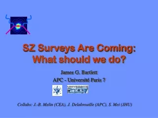 SZ Surveys Are Coming: What should we do?