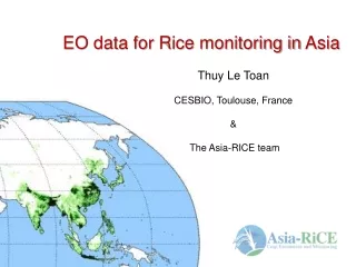 EO data for  Rice  monitoring in  Asia