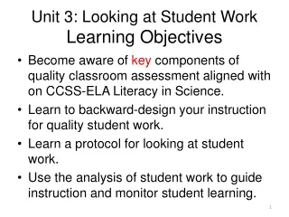 Unit 3: Looking at Student Work Learning Objectives