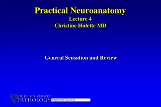 Practical Neuroanatomy Lecture 4 Christine Hulette MD