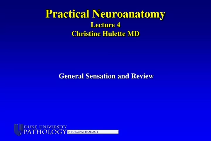 practical neuroanatomy lecture 4 christine hulette md