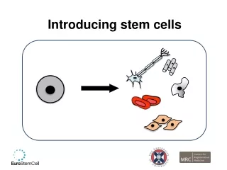 Introducing stem cells