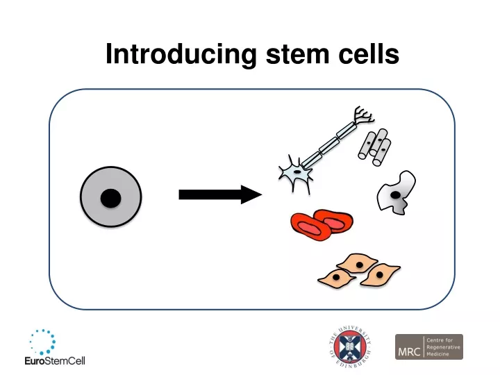 introducing stem cells