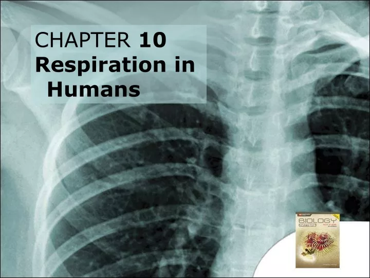 chapter 10 respiration in humans
