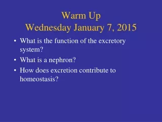 Warm Up Wednesday January 7, 2015
