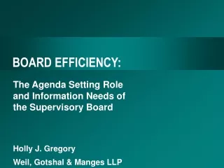 BOARD EFFICIENCY: