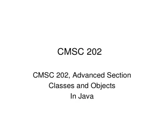 CMSC 202