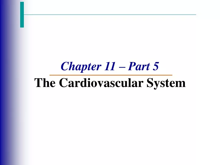 chapter 11 part 5 the cardiovascular system