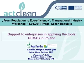 Support to enterprises in applying the tools REMAS in Polan d