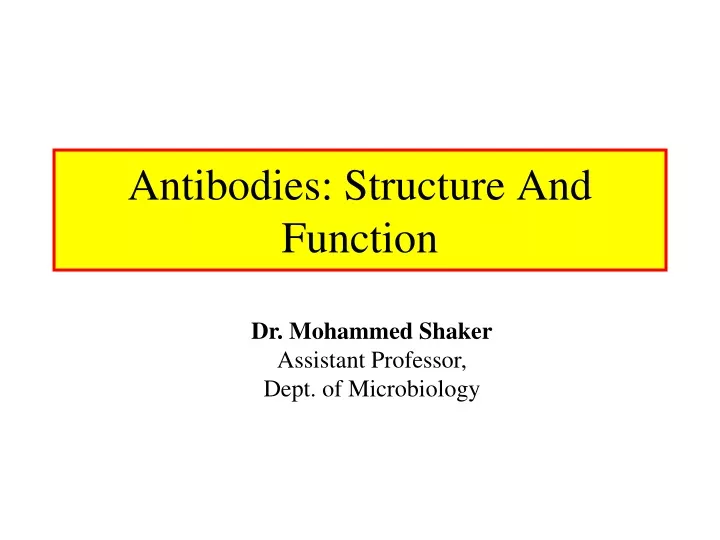 antibodies structure and function
