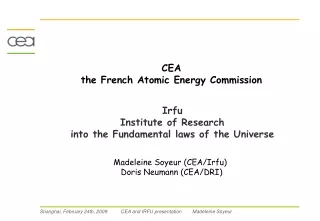 CEA the French Atomic Energy Commission