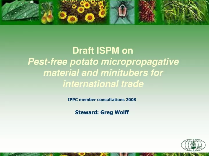 draft ispm on pest free potato micropropagative material and minitubers for international trade