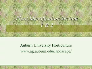 Plant Identification Section  1 &amp; 2