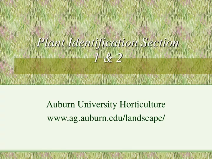 plant identification section 1 2