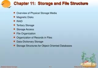 Chapter 11:  Storage and File Structure