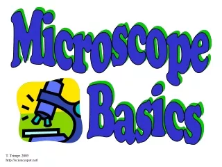 Microscope