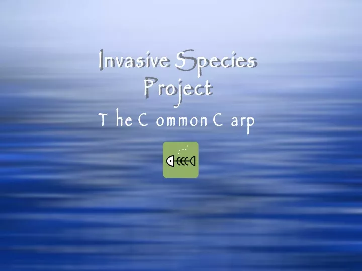 invasive species project