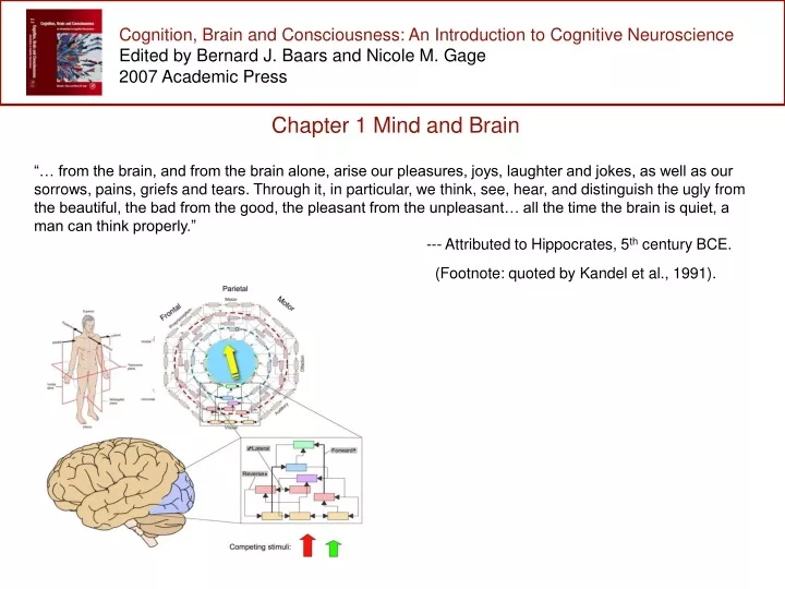 cognition brain and consciousness an introduction