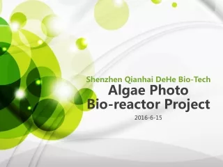 Shenzhen Qianhai DeHe Bio-Tech Algae Photo  Bio-reactor Project