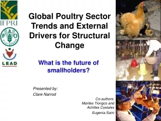 Global Poultry Sector Trends and External Drivers for Structural Change