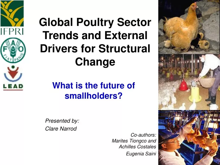 global poultry sector trends and external drivers