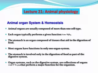 Animal organs are usually composed of more than one cell type.