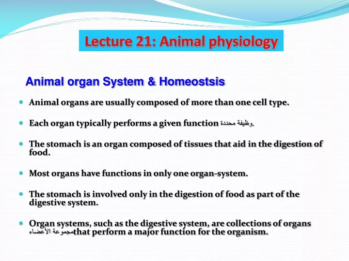 lecture 21 animal physiology
