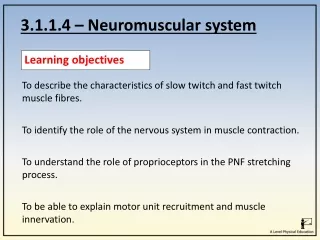 3.1.1.4 – Neuromuscular system