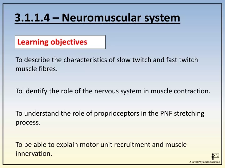3 1 1 4 neuromuscular system