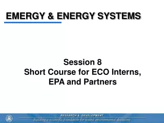 EMERGY &amp; ENERGY SYSTEMS